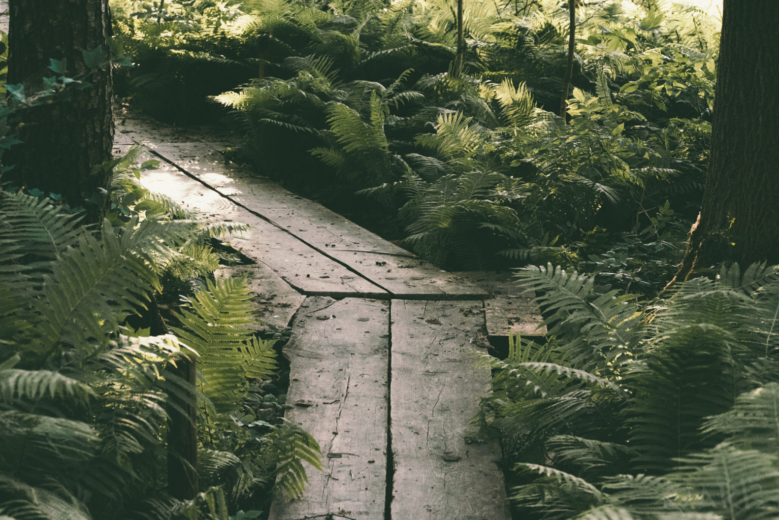 Valokuvaaja: Mari Mur Valokuvaaja: Mari Mur