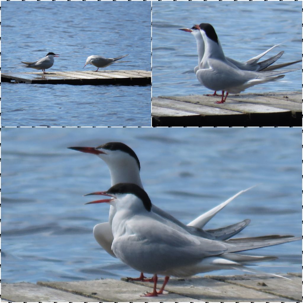 Valokuvaaja: Tuula Makkonen