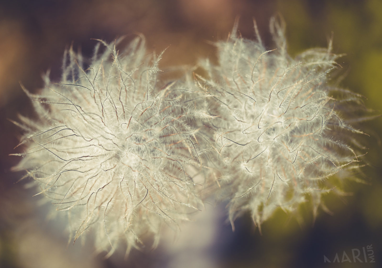 Valokuvaaja: Mari Mur