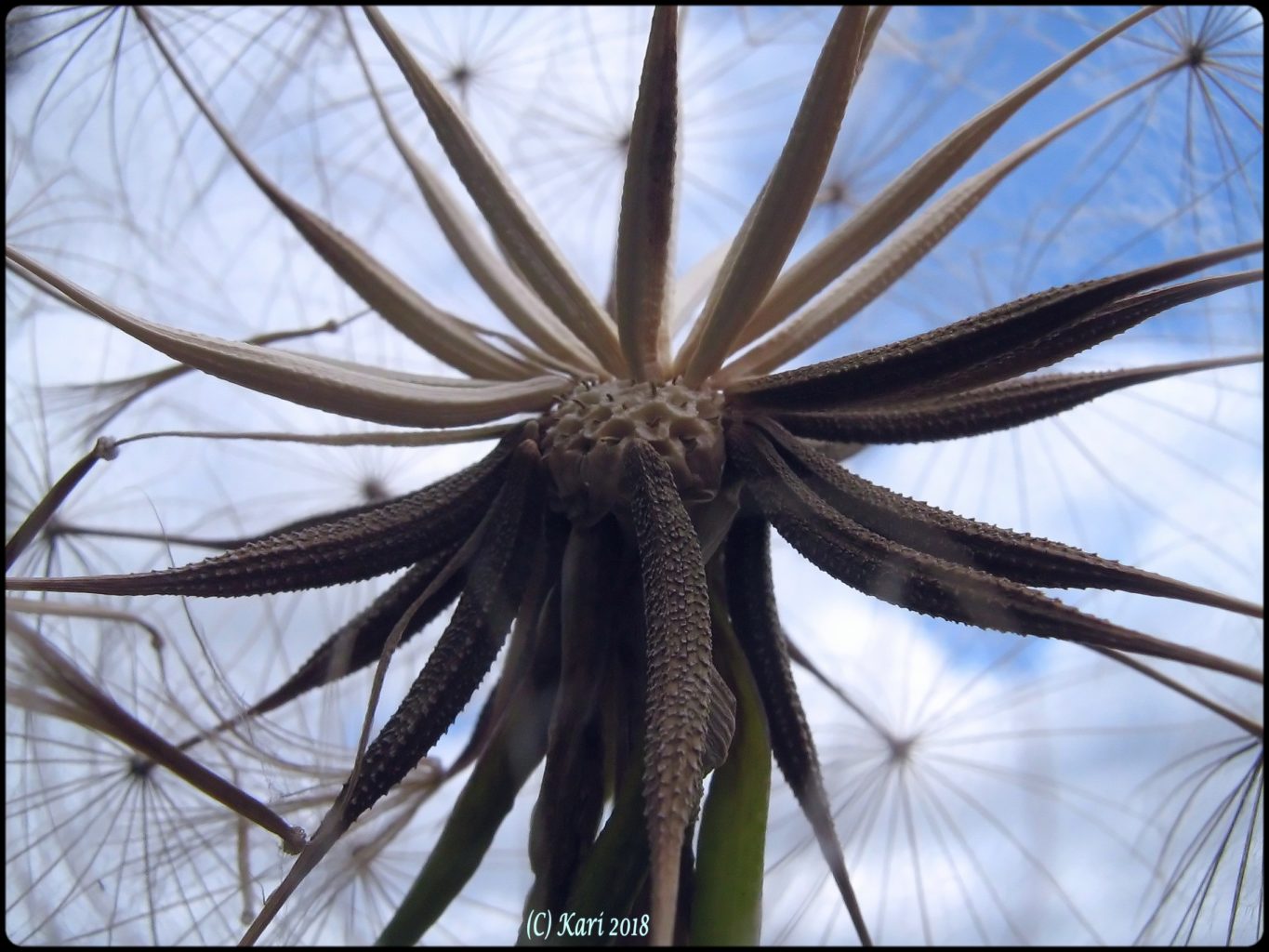 Valokuvaaja: Kari Saarinen