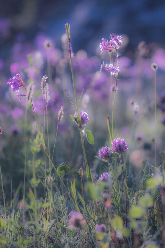 Valokuvaaja: Anne Patana