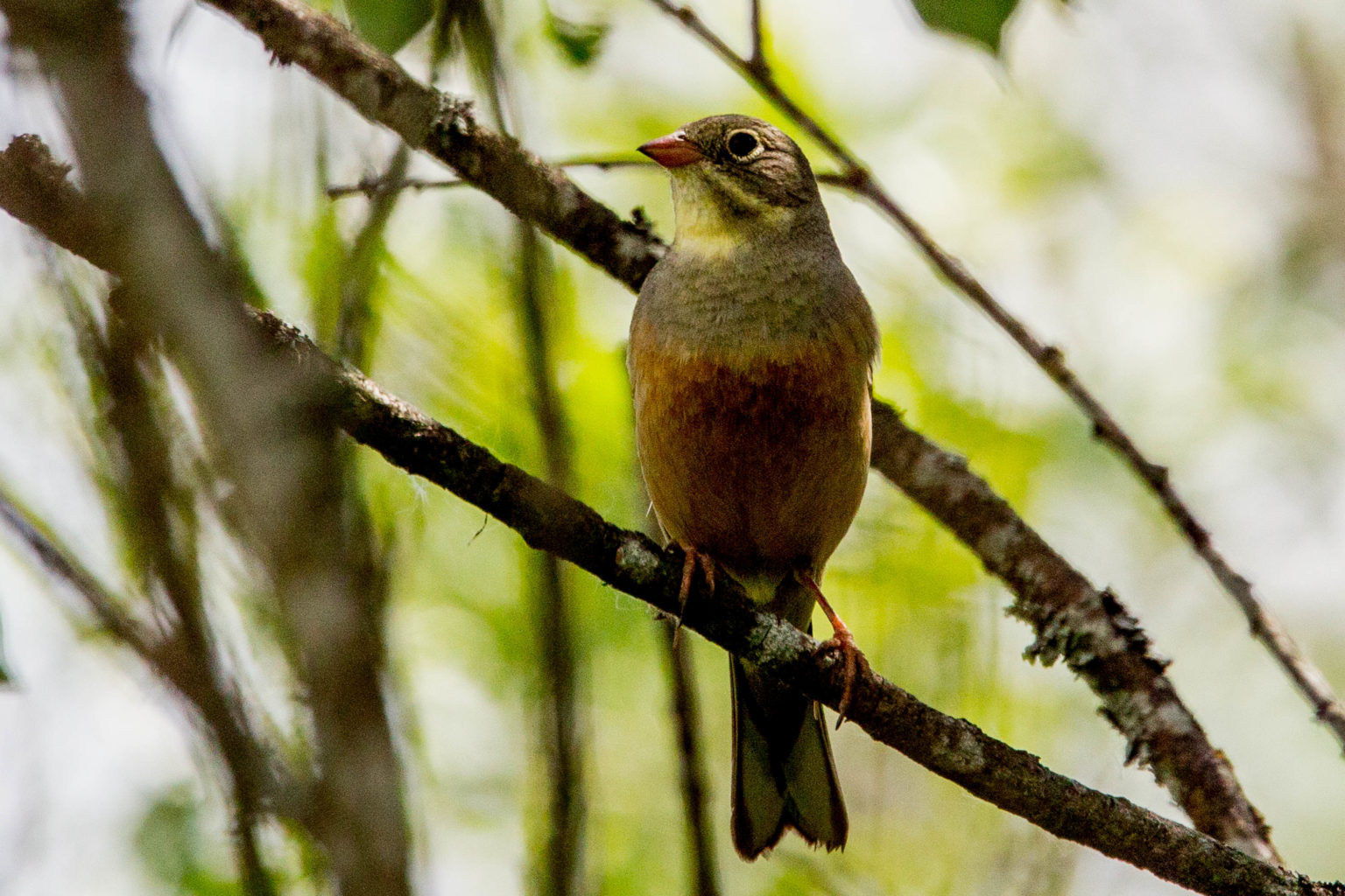 Valokuvaaja: Markku Salonen Valokuvaaja: Markku Salonen