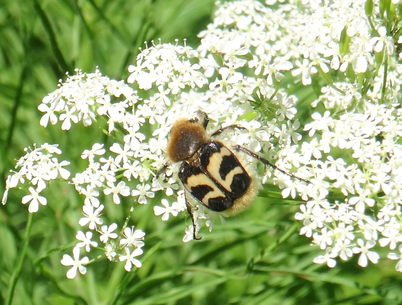 Valokuvaaja: Liisa Niiva-Korpela