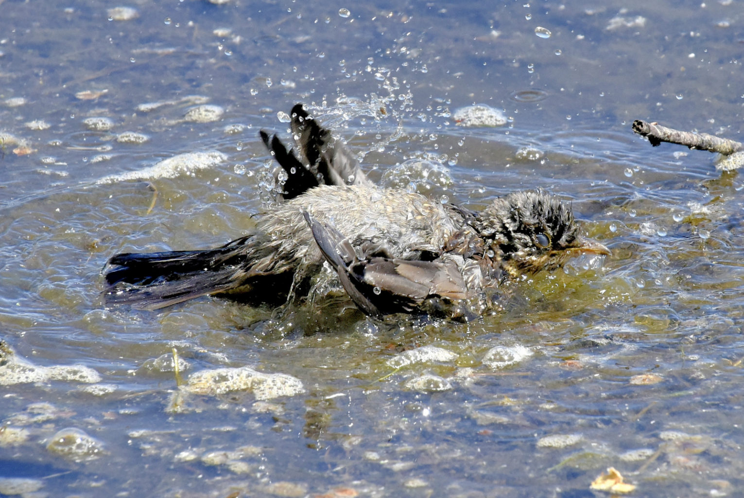 Valokuvaaja: Reijo Juurinen