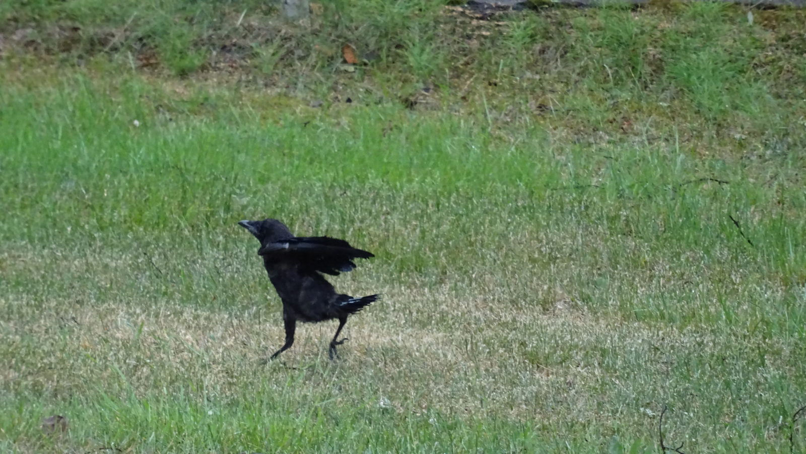 Valokuvaaja: Katja Ketola