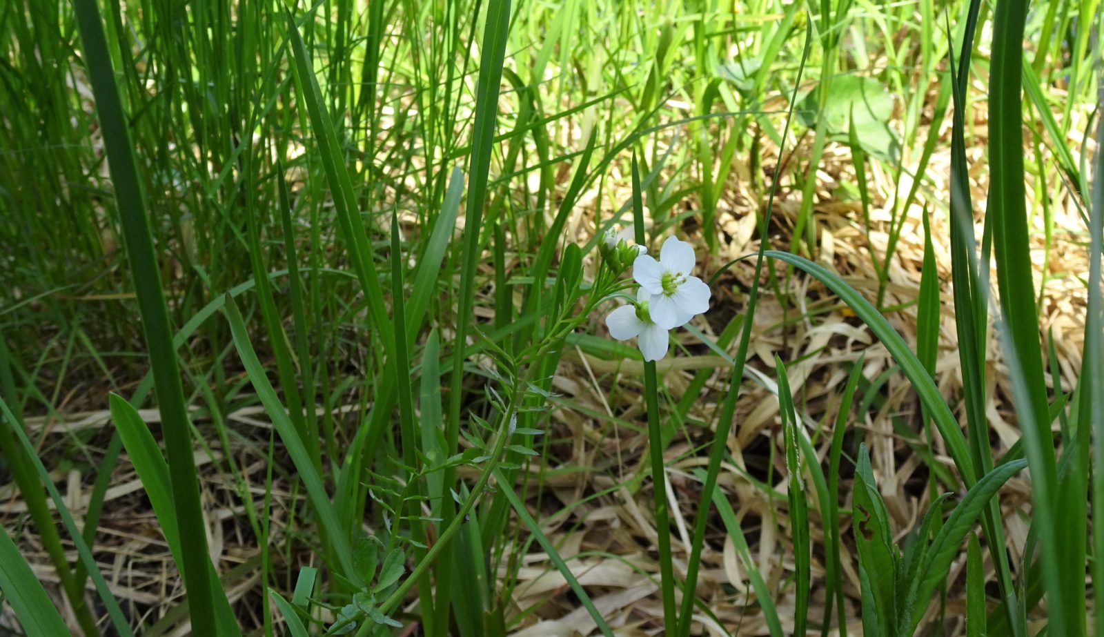 Valokuvaaja: Irja Lehtinen