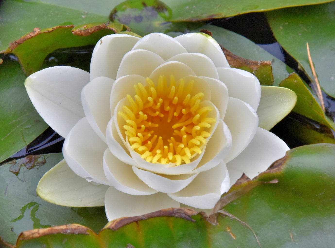 Valokuvaaja: Reijo Juurinen