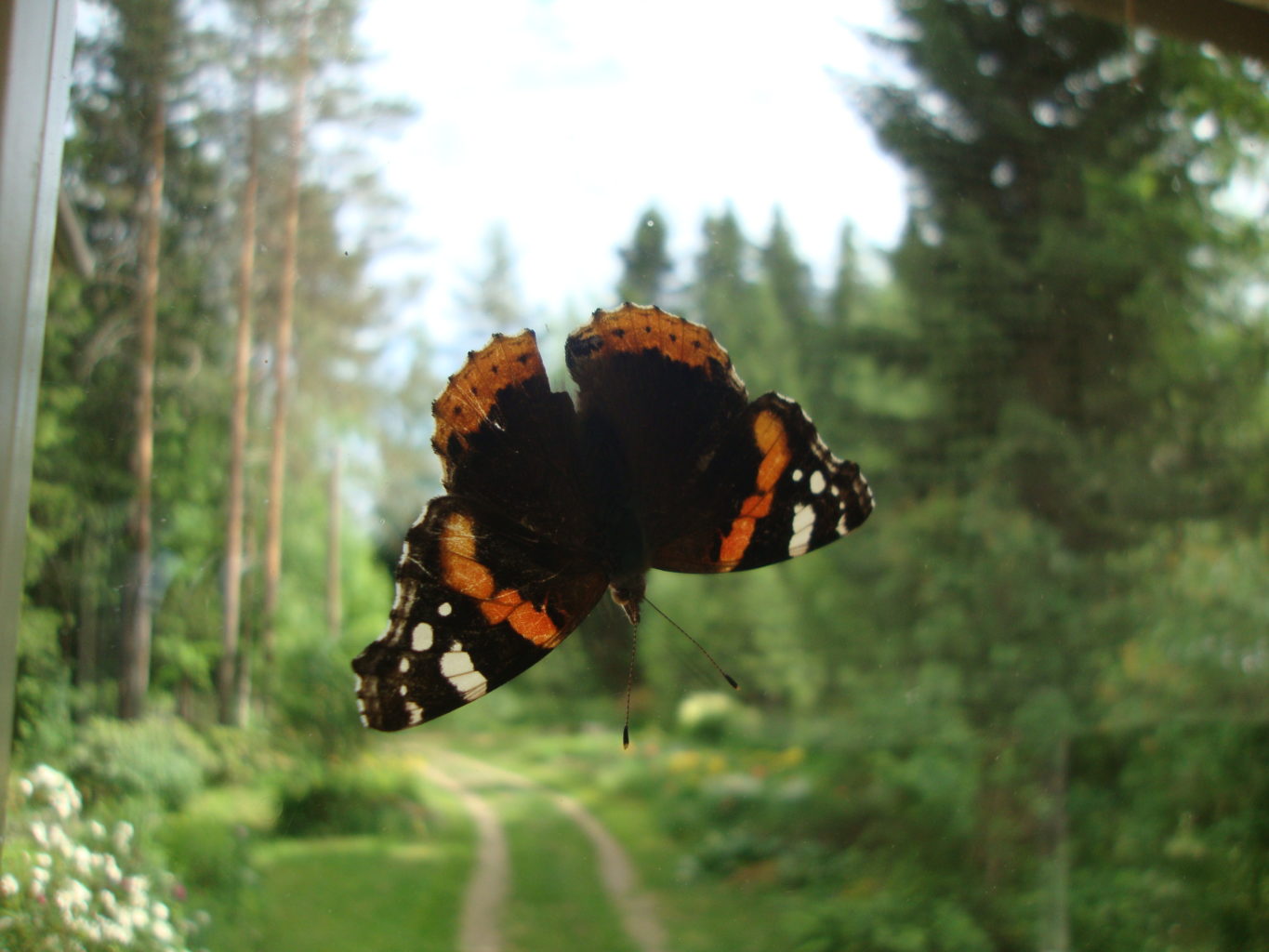 Valokuvaaja: Anja Mustamaa Valokuvaaja: Anja Mustamaa