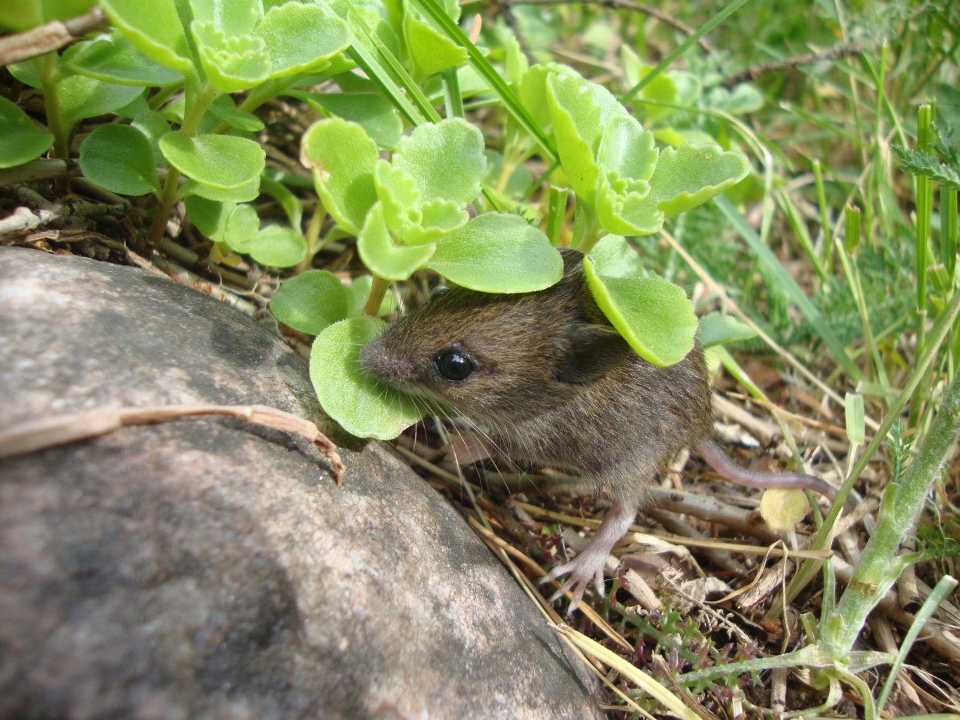 Valokuvaaja: Anja Mustamaa