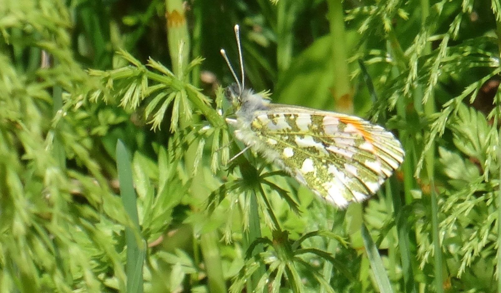 Valokuvaaja: Liisa Niiva-Korpela