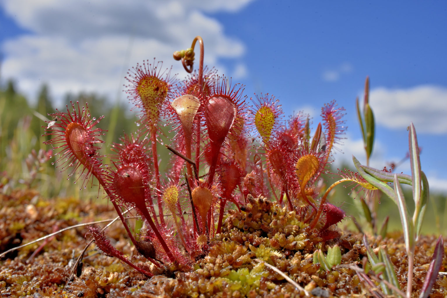 Valokuvaaja: Reijo Juurinen