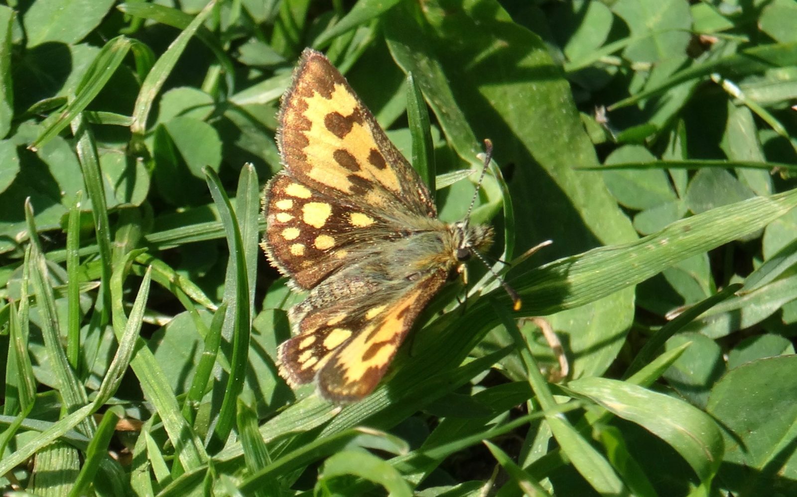 Valokuvaaja: Liisa Niiva-Korpela