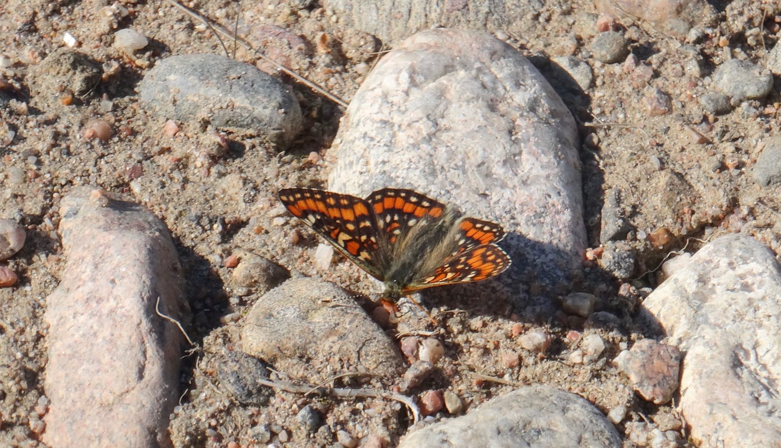 Valokuvaaja: Liisa Niiva-Korpela