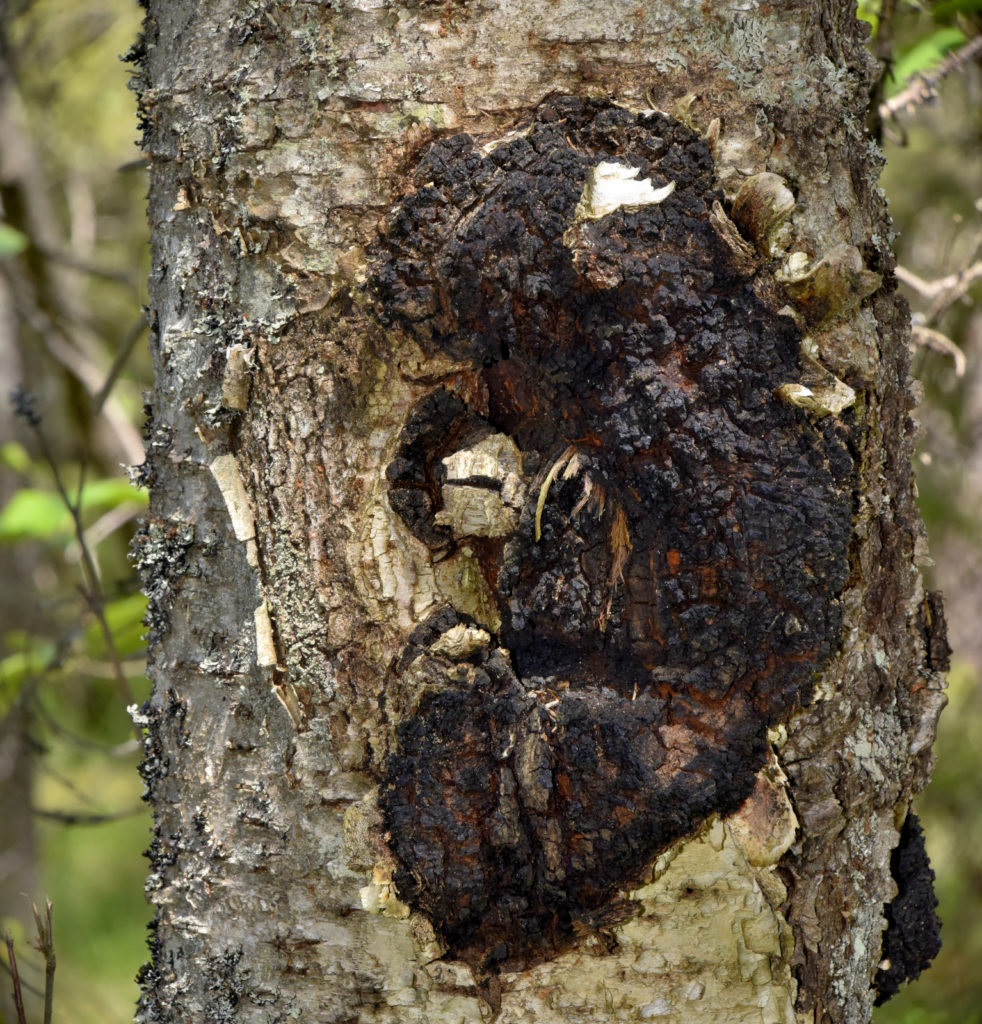 Valokuvaaja: Reijo Juurinen