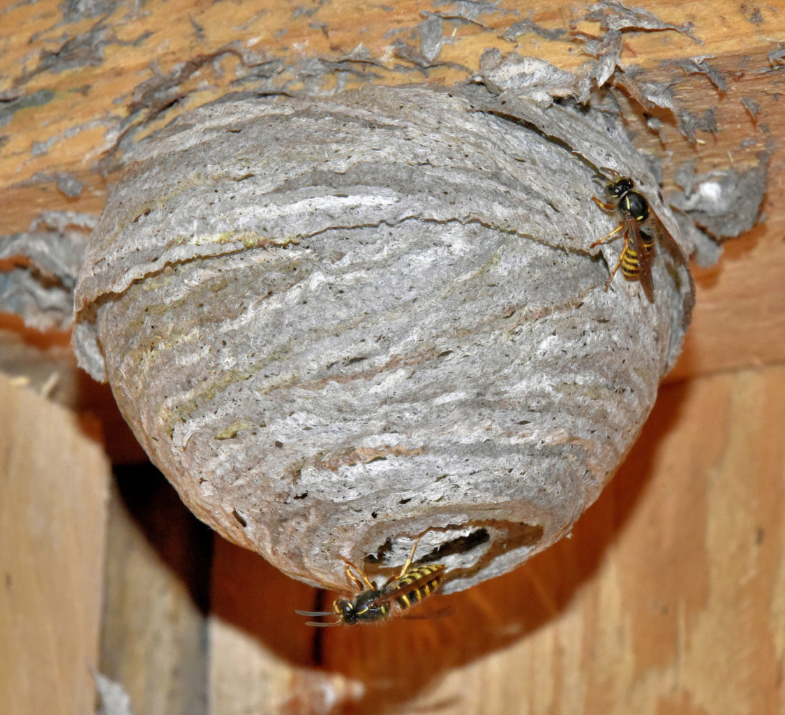 Valokuvaaja: Reijo Juurinen