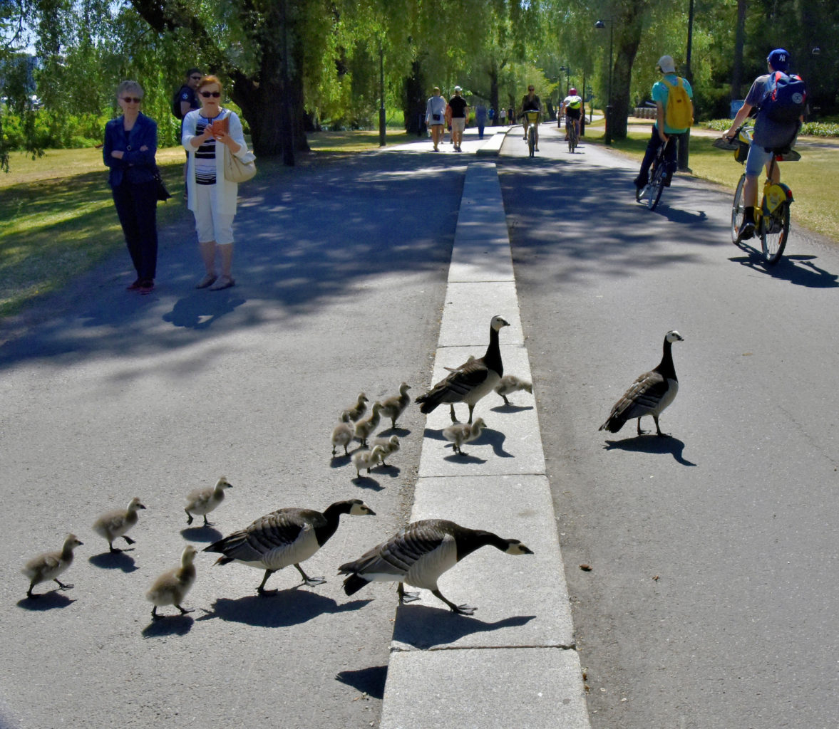 Valokuvaaja: Reijo Juurinen Valokuvaaja: Reijo Juurinen