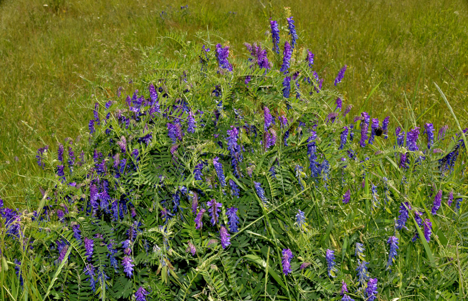 Valokuvaaja: Reijo Juurinen Valokuvaaja: Reijo Juurinen