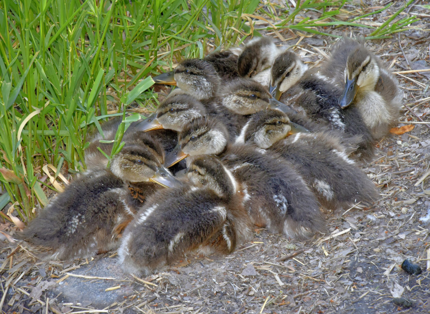 Valokuvaaja: Reijo Juurinen