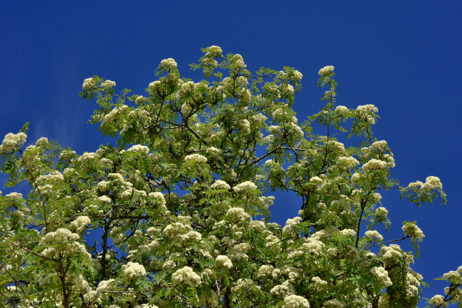 Valokuvaaja: Reijo Juurinen