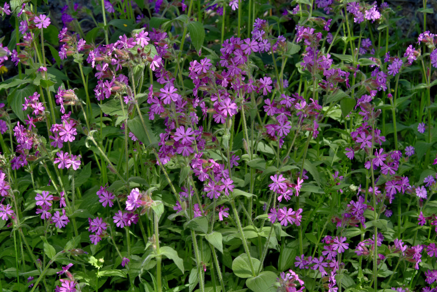 Valokuvaaja: Reijo Juurinen