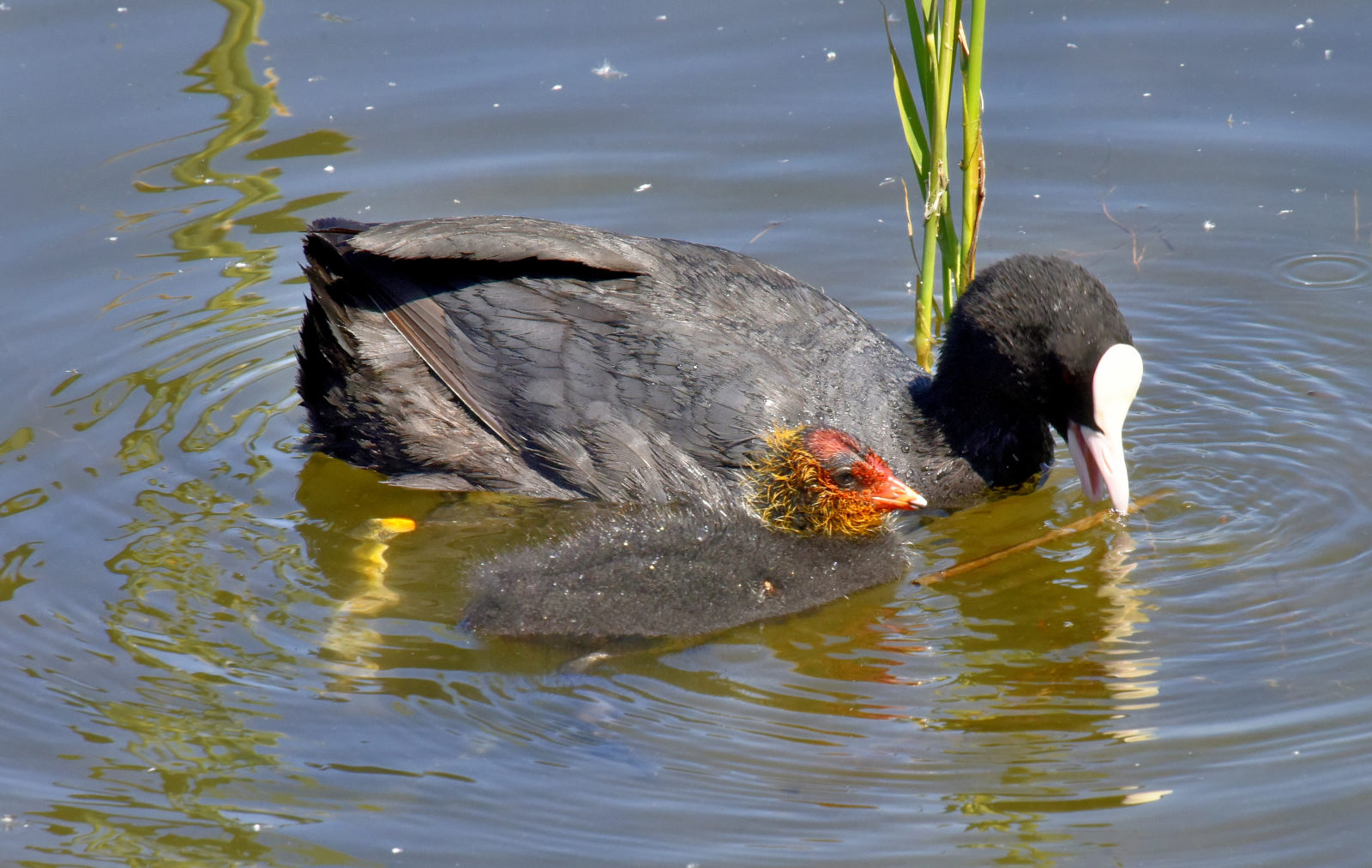 Valokuvaaja: Reijo Juurinen