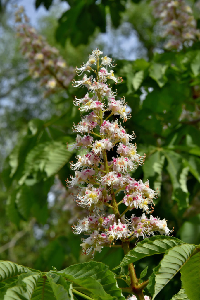 Valokuvaaja: Reijo Juurinen