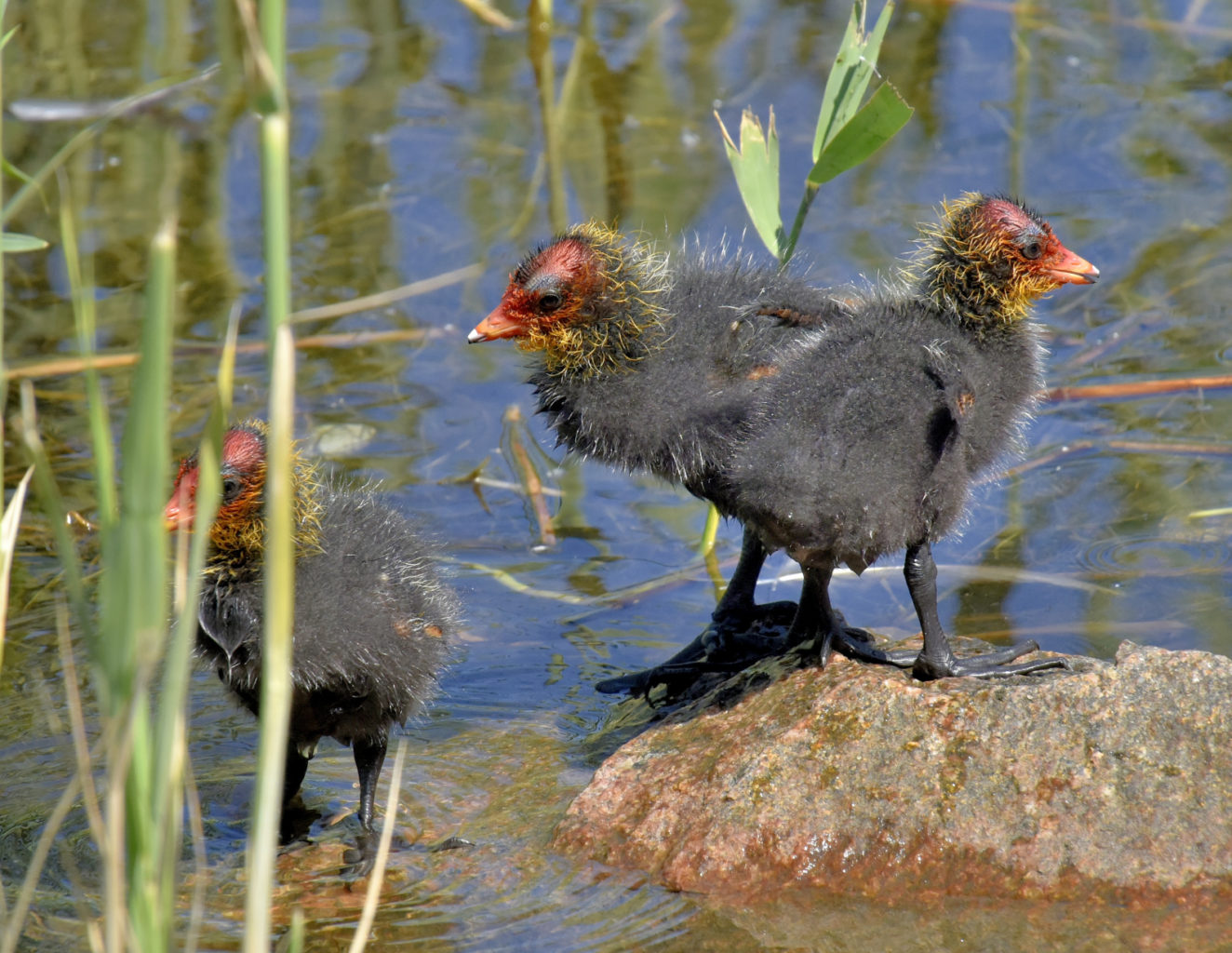 Valokuvaaja: Reijo Juurinen