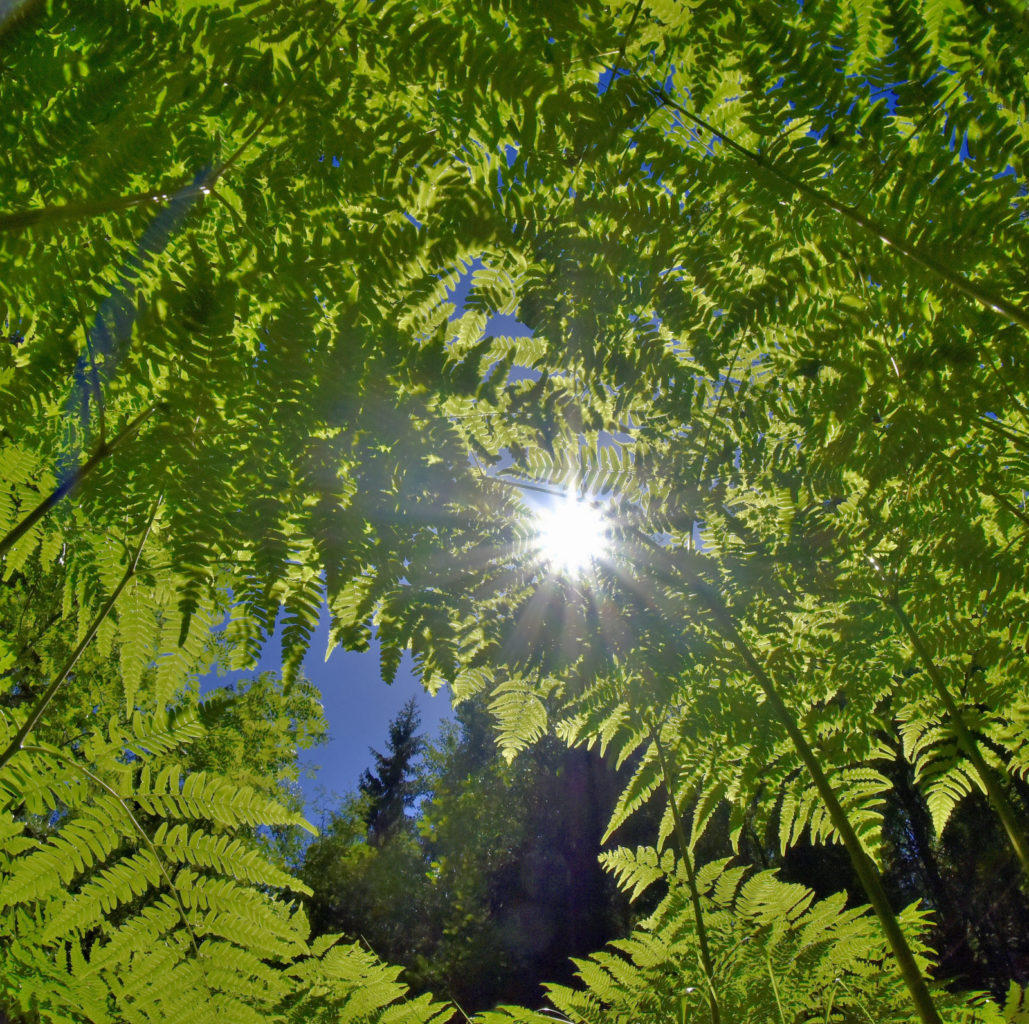 Valokuvaaja: Reijo Juurinen