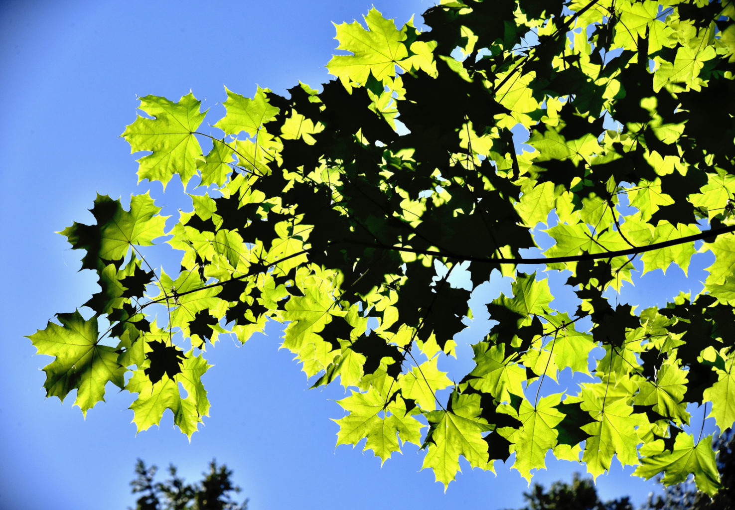 Valokuvaaja: Reijo Juurinen