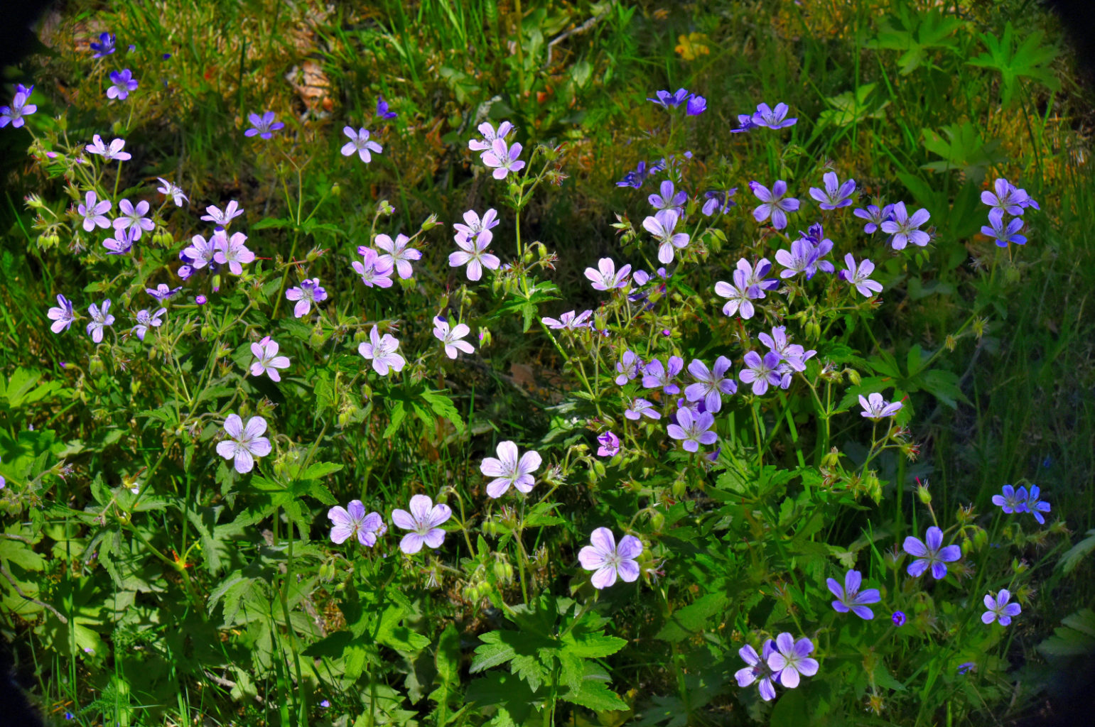 Valokuvaaja: Reijo Juurinen