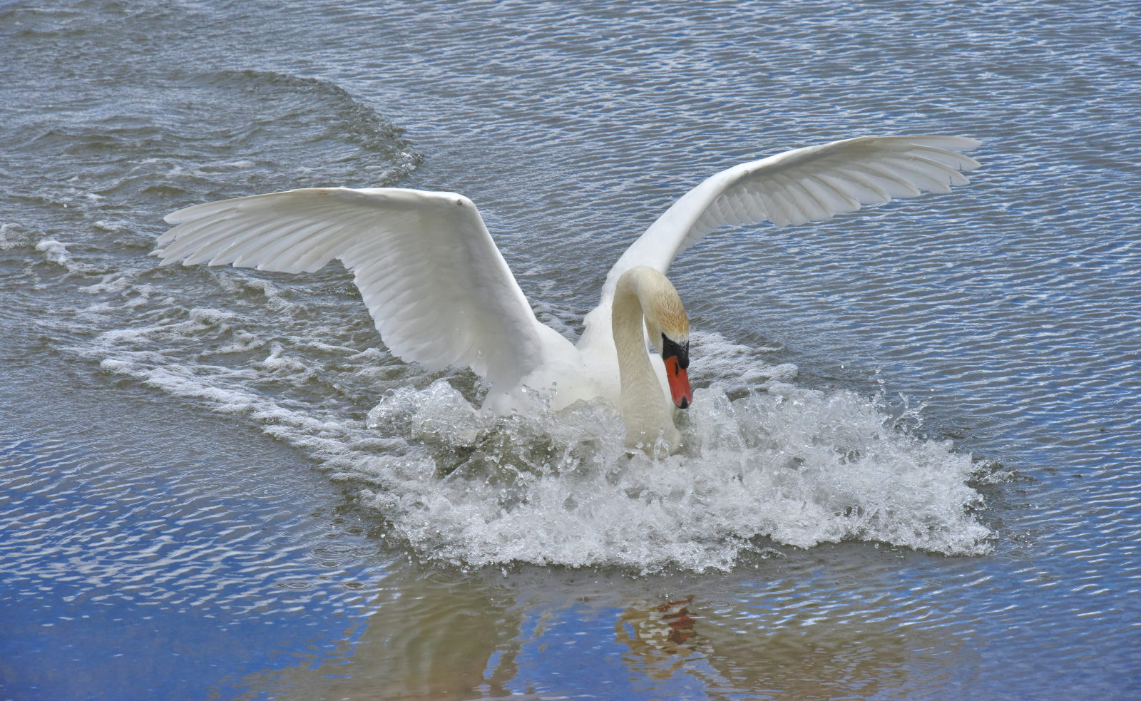 Valokuvaaja: Reijo Juurinen