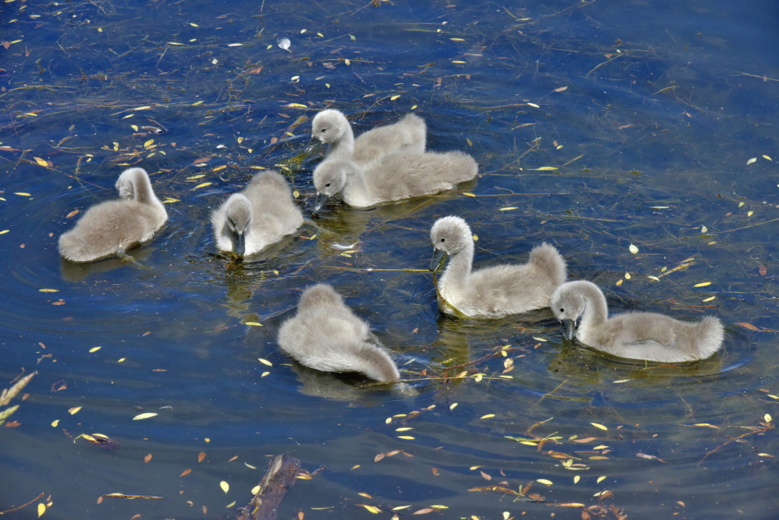 Valokuvaaja: Reijo Juurinen