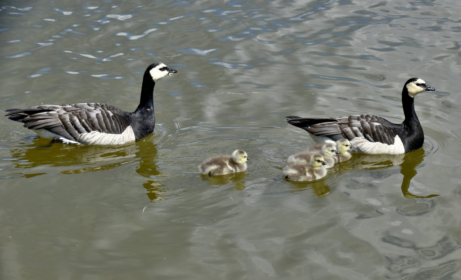 Valokuvaaja: Reijo Juurinen