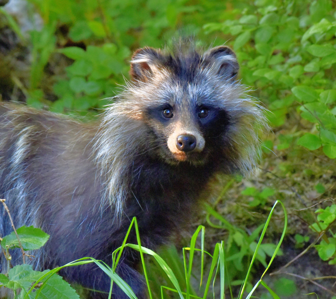Valokuvaaja: Reijo Juurinen