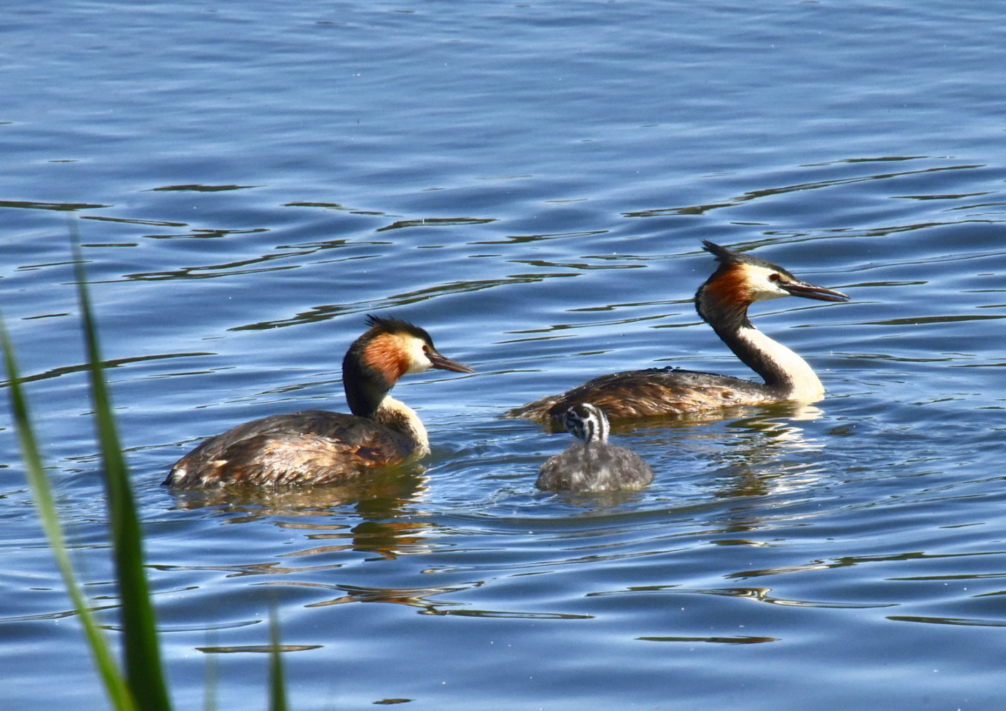 Valokuvaaja: Reijo Juurinen