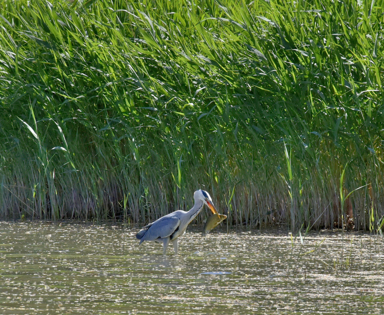 Valokuvaaja: Reijo Juurinen
