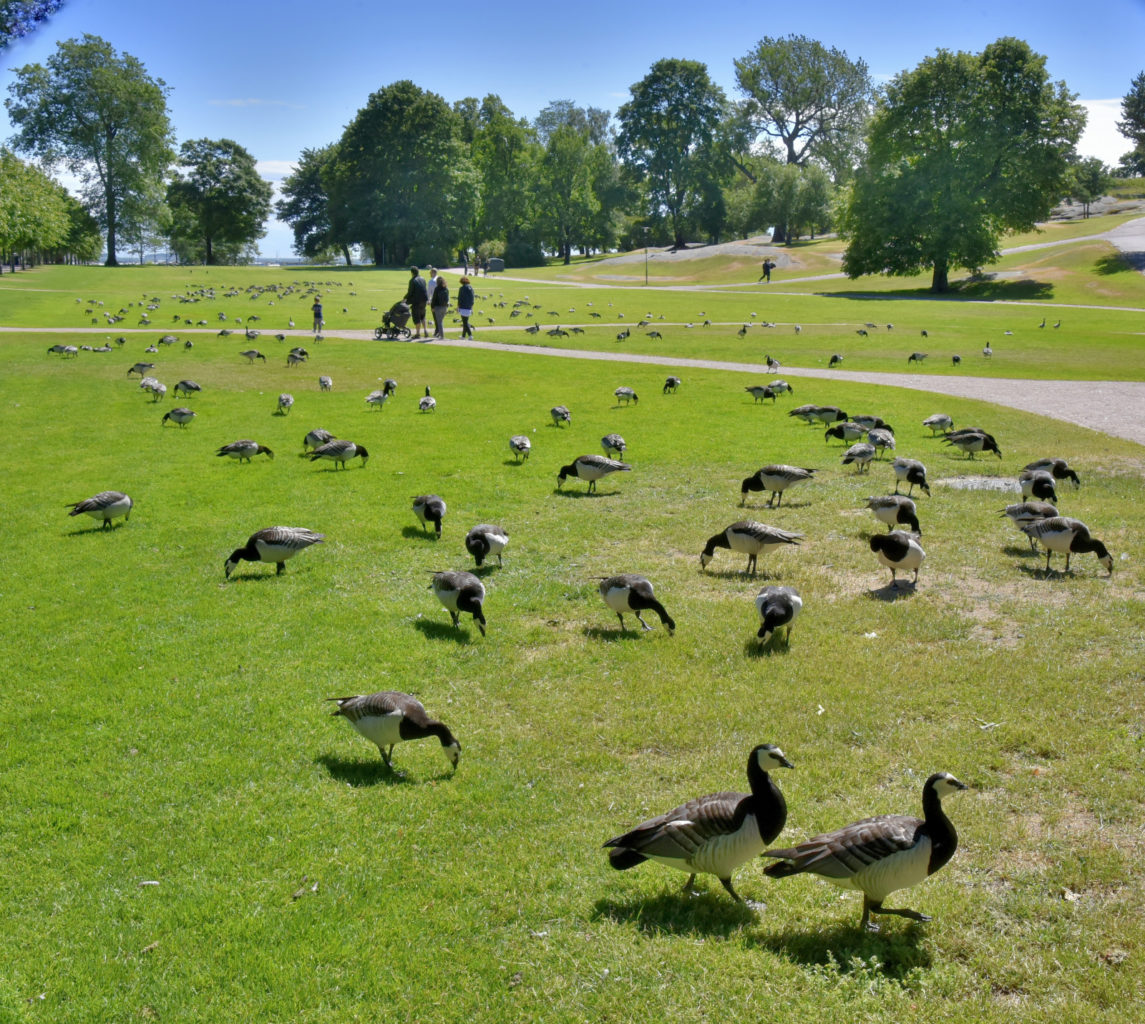 Valokuvaaja: Reijo Juurinen