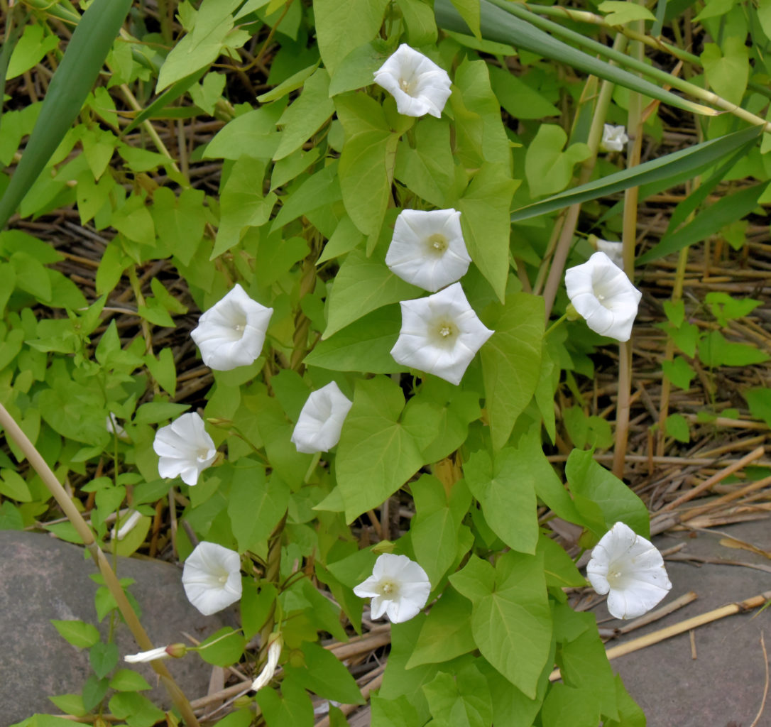 Valokuvaaja: Reijo Juurinen