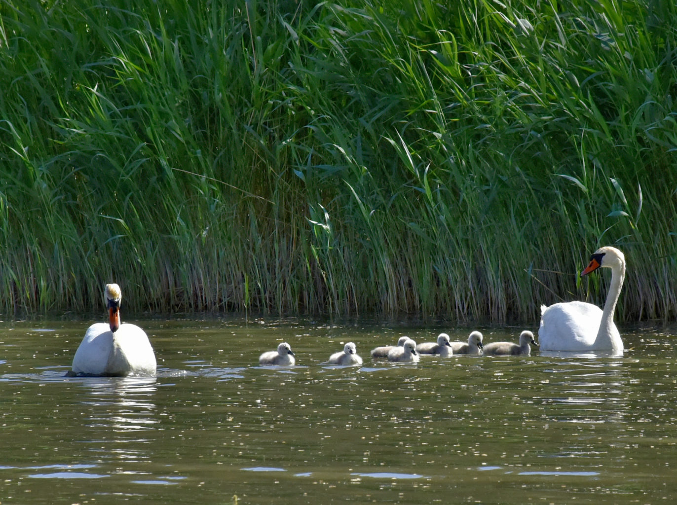 Valokuvaaja: Reijo Juurinen