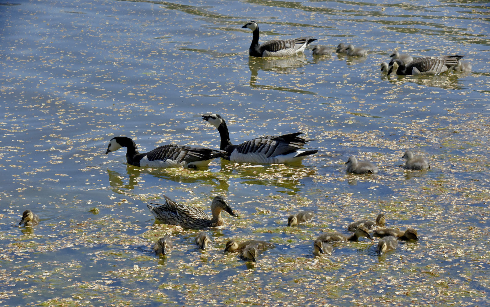 Valokuvaaja: Reijo Juurinen Valokuvaaja: Reijo Juurinen