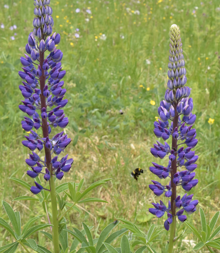 Valokuvaaja: Reijo Juurinen Valokuvaaja: Reijo Juurinen