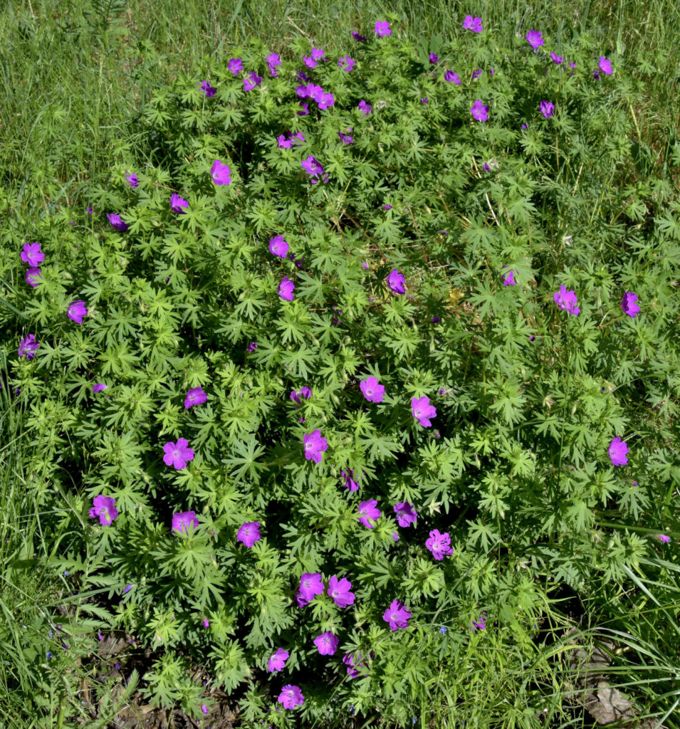 Valokuvaaja: Reijo Juurinen