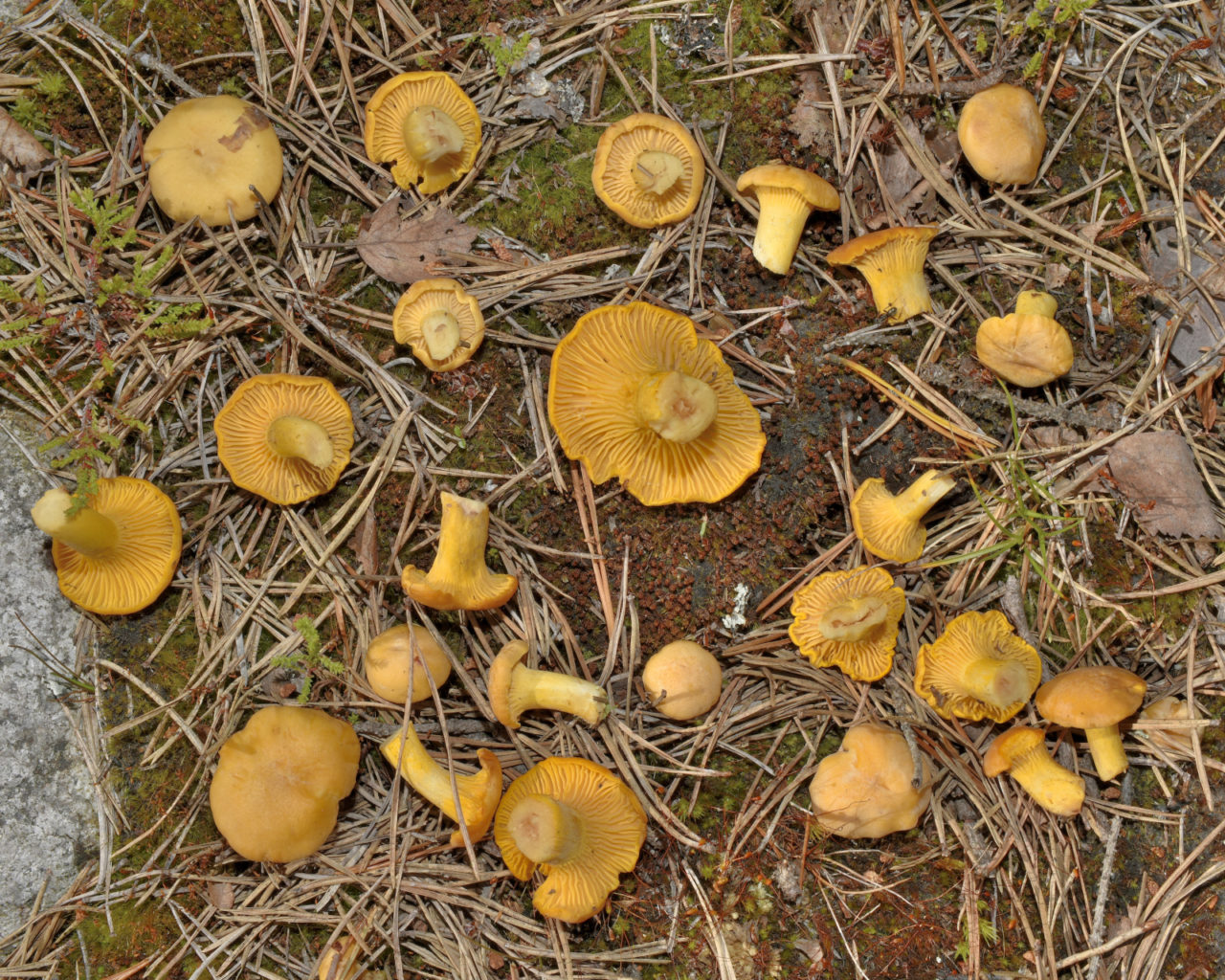 Valokuvaaja: Reijo Juurinen