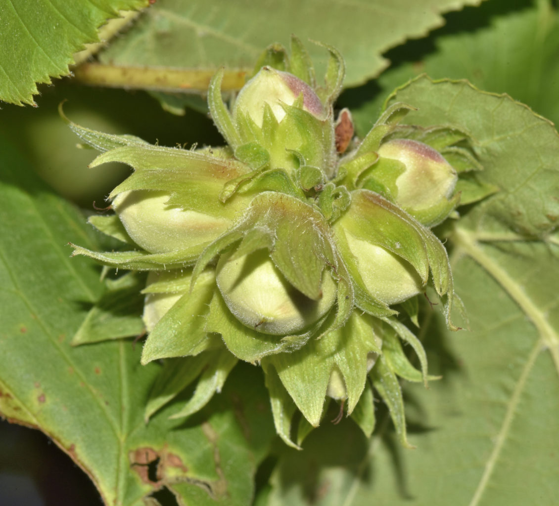 Valokuvaaja: Reijo Juurinen