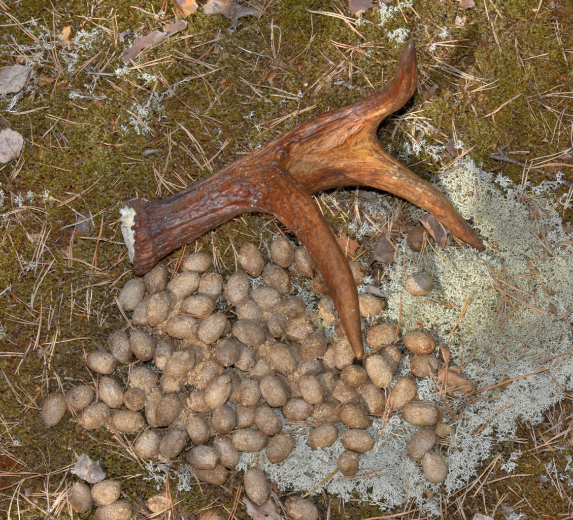 Valokuvaaja: Reijo Juurinen