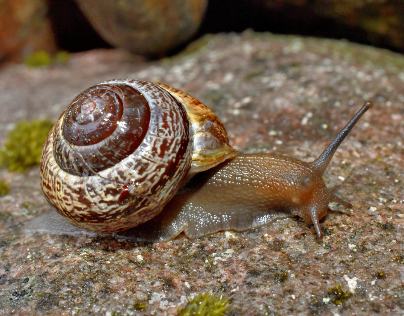 Valokuvaaja: Reijo Juurinen