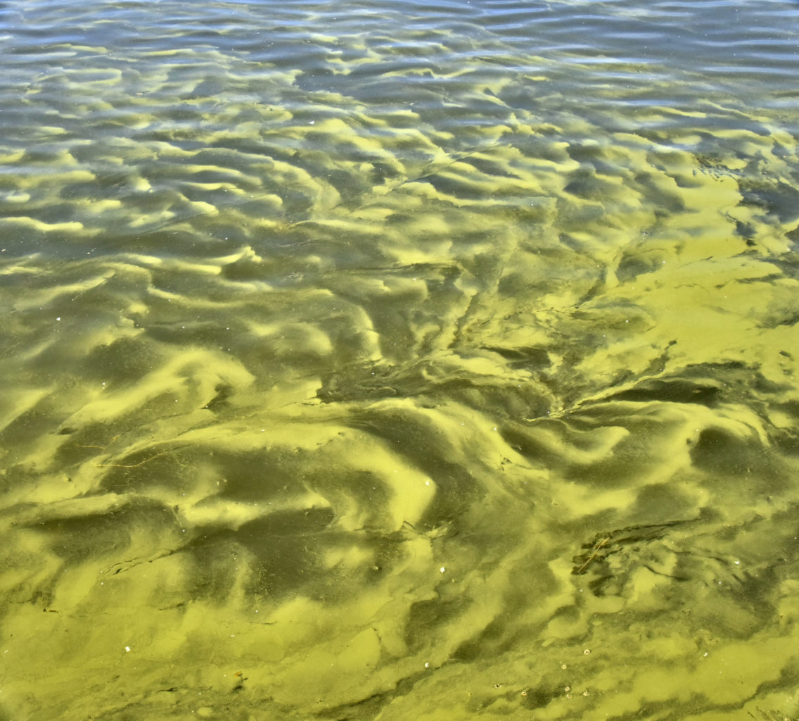 Valokuvaaja: Reijo Juurinen