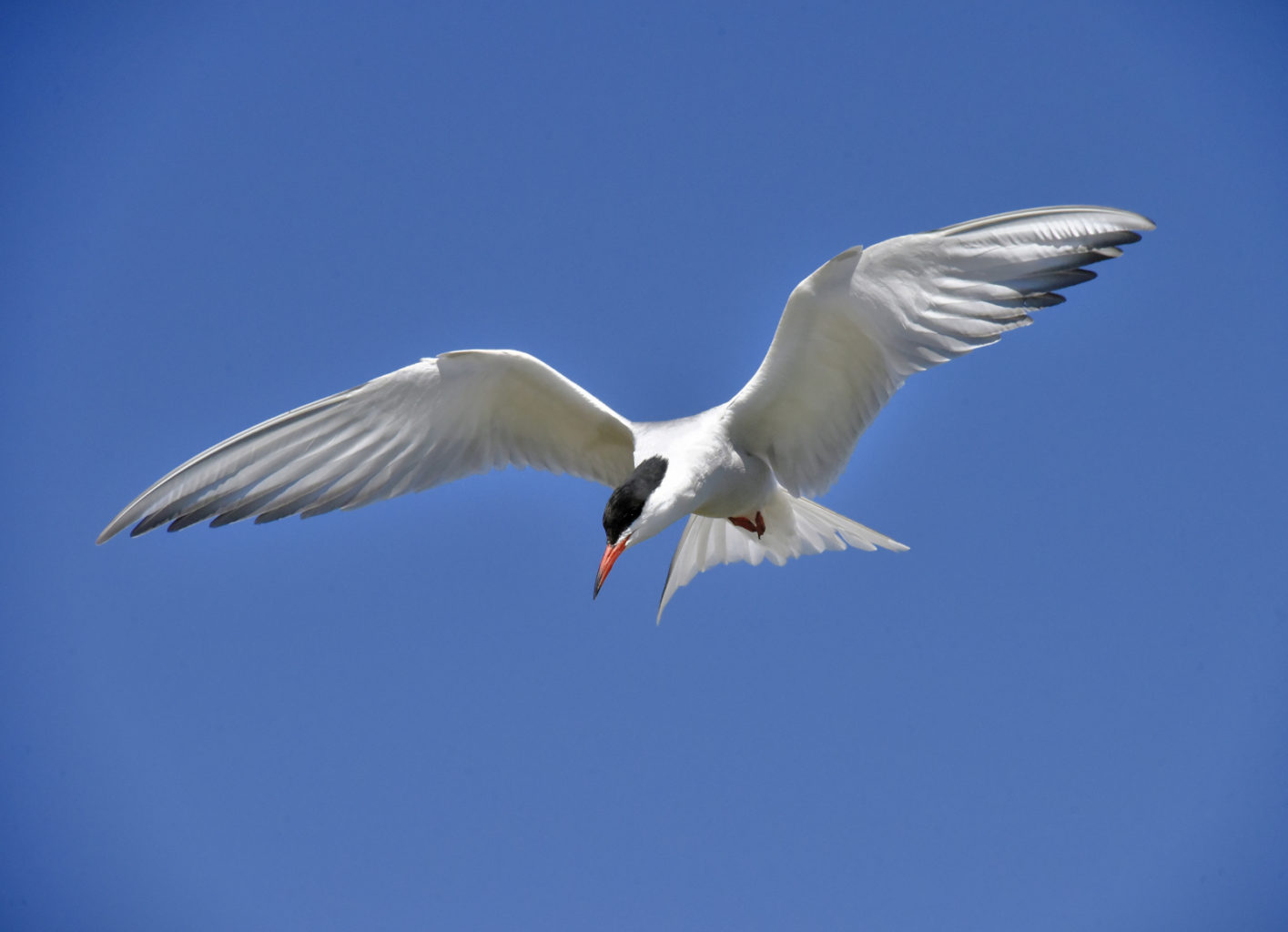 Valokuvaaja: Reijo Juurinen