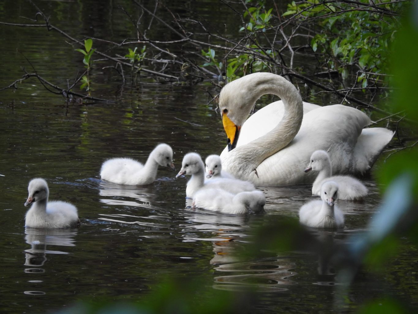 Valokuvaaja: Maarit Siitonen