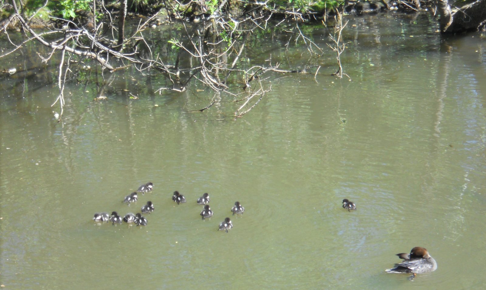 Valokuvaaja: Tiina Arlin
